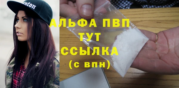 стаф Верея