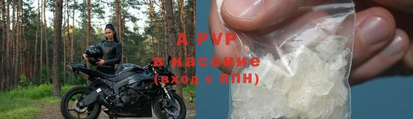 стаф Верея