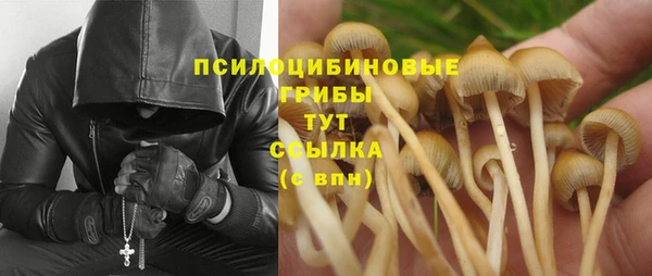 стаф Верея