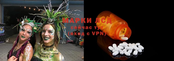 стаф Верея