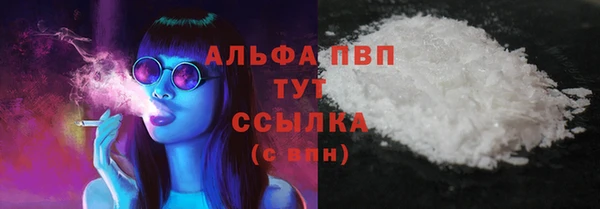 стафф Верхний Тагил