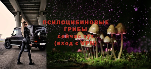 стафф Верхний Тагил