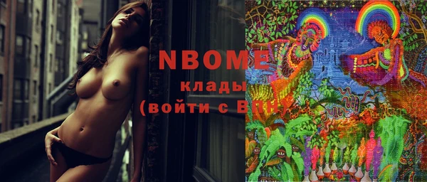 стаф Верея