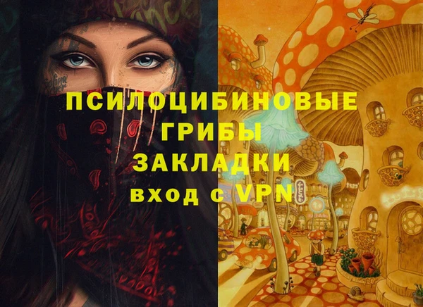 стаф Верея