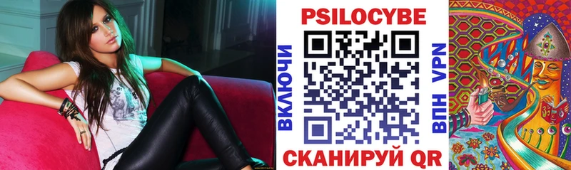 продажа наркотиков  KRAKEN tor  Галлюциногенные грибы Psilocybe  Энгельс 